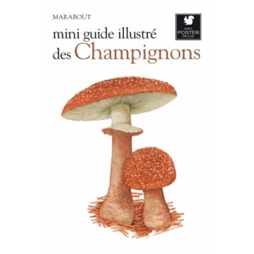 Le Petit Guide Marabout Des Champignons