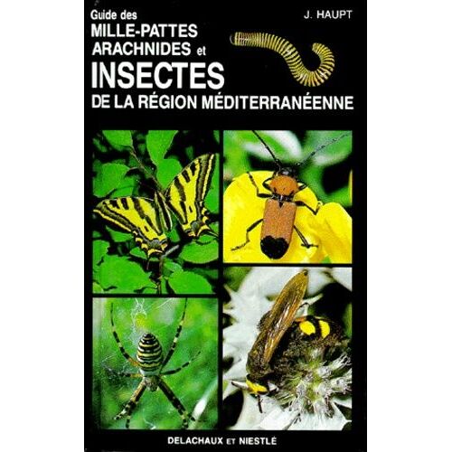 Guide Des Mille-Pattes, Arachnides Et Insectes De La Region Mediterraneenne