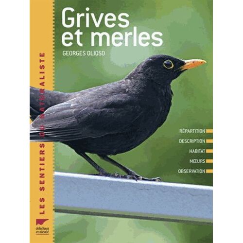Grives Et Merles