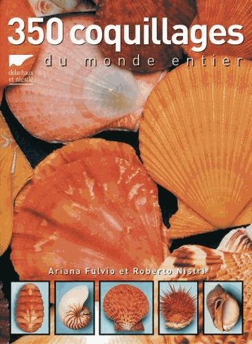 350 Coquillages Du Monde Entier