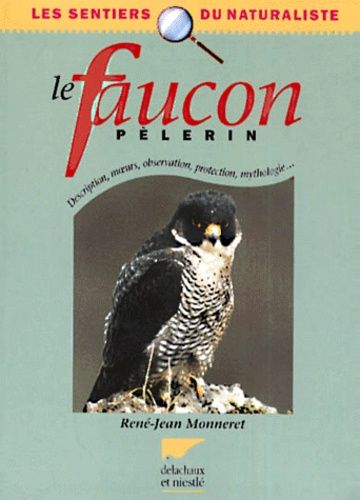 Le Faucon Pèlerin - Description, Moeurs, Observation, Protection, Mythologie