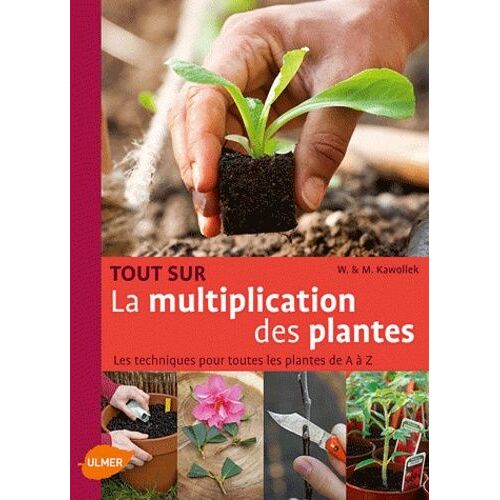 Tout Sur La Multiplication Des Plantes - Les Techniques Pour Toutes Les Plantes De A À Z