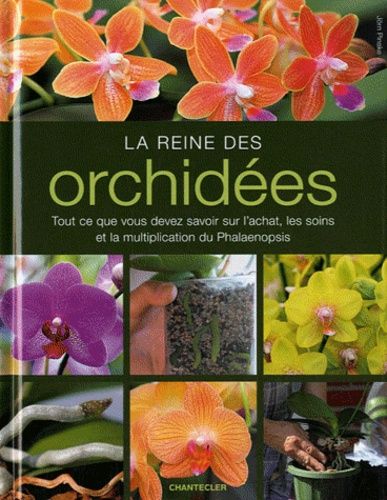 La Reine Des Orchidées