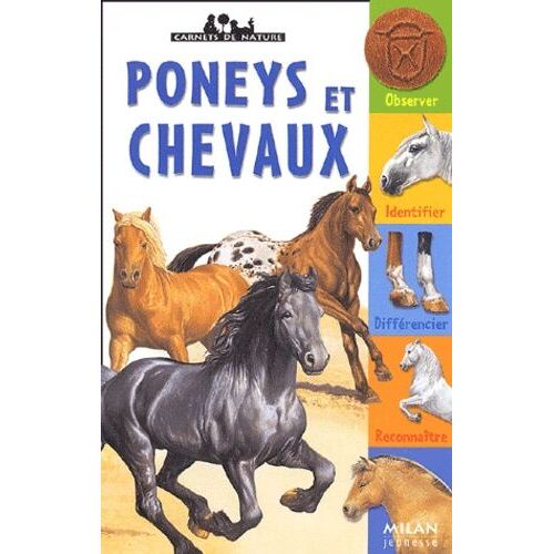 Poneys Et Chevaux