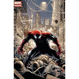 Spider-Man 2013 001 Vc