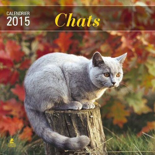 Calendrier Chats 2015