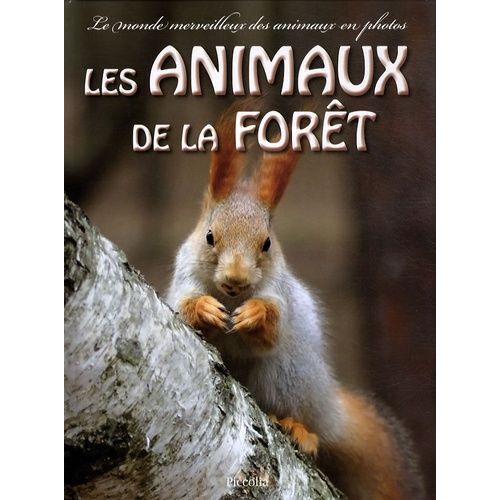 Les Animaux De La Forêt
