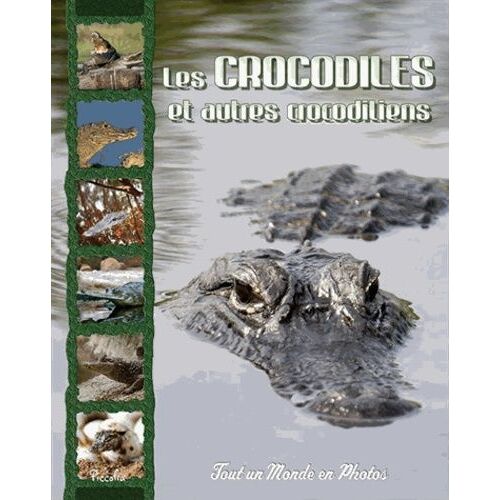 Les Crocodiles Et Autres Crocodiliens