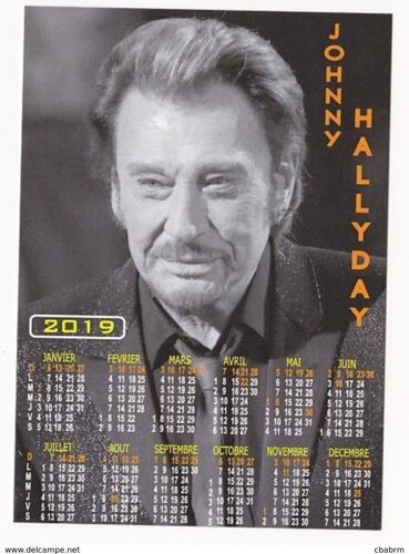 Johnny Hallyday Calendrier 2019 En Carte Postale N° Athq 309