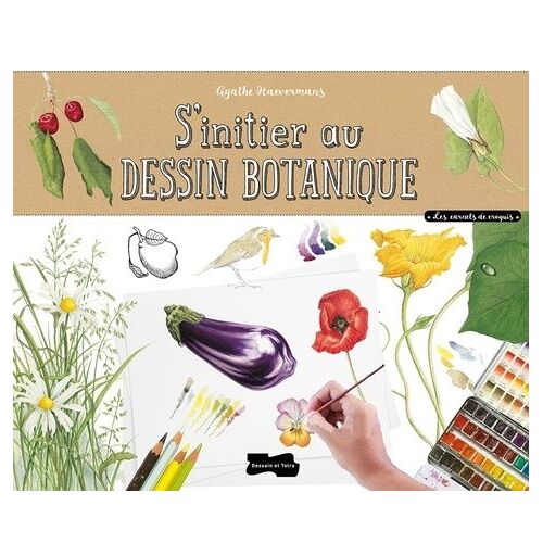 S'initier Au Dessin Botanique