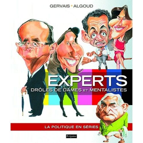 Experts, Drôles De Dames Et Mentalistes - La Politique En Séries