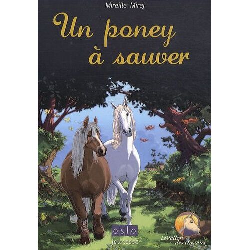 Le Vallon Des Chevaux Tome 2 - Un Poney À Sauver