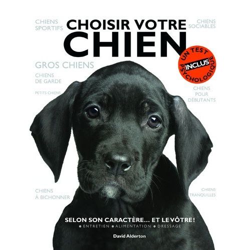 Choisir Votre Chien - Selon Son Caractère - Et Le Vôtre !