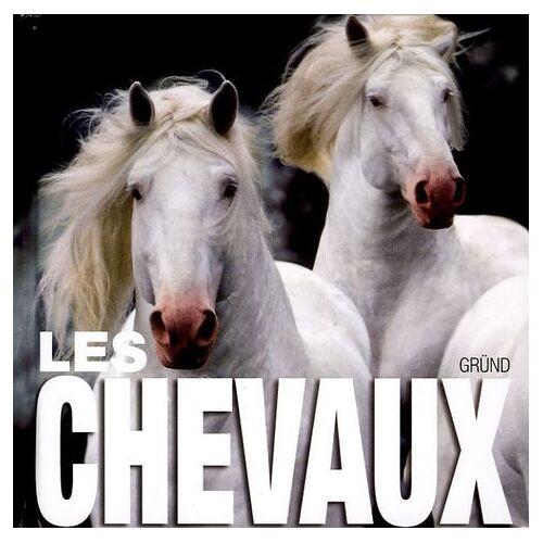 Les Chevaux