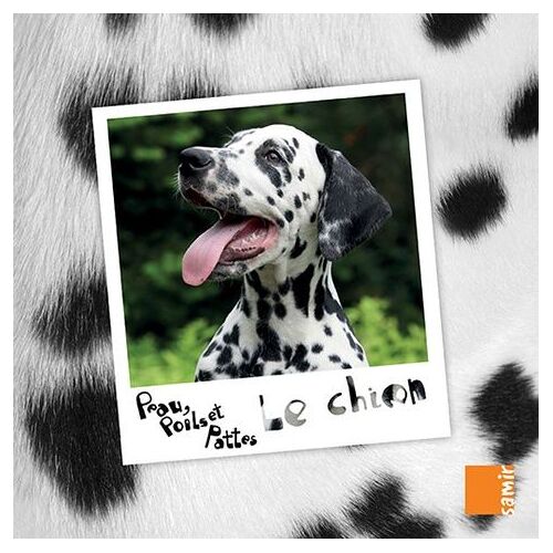Le Chien