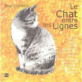 Le Chat Entre Les Lignes