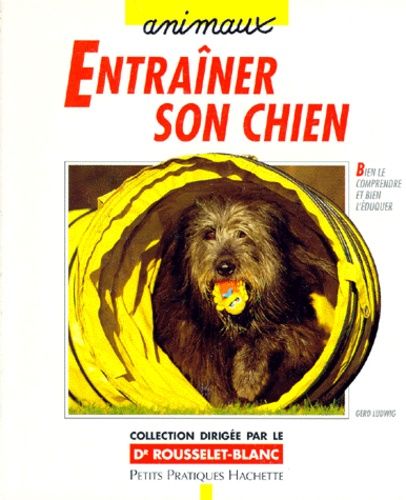 Entraîner Son Chien - Des Exercices Adaptés Pour Des Jeux En Intérieur Ou En Extérieur