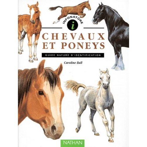 Chevaux Et Poneys - Guide Nature D'identification