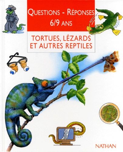Tortues, Lézards Et Autres Reptiles