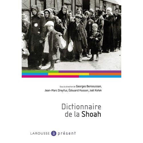 Dictionnaire De La Shoah