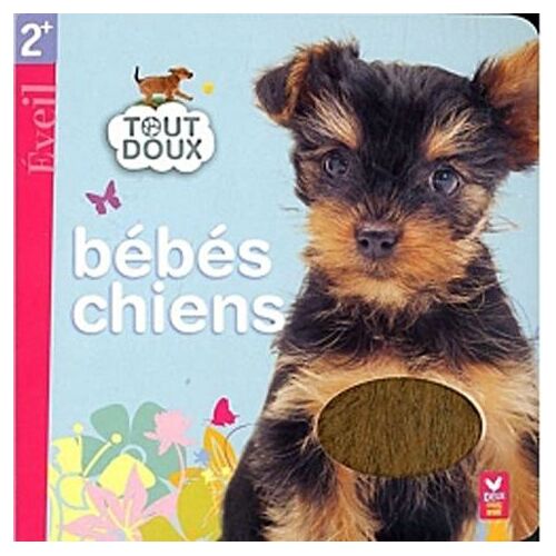 Bébés Chiens