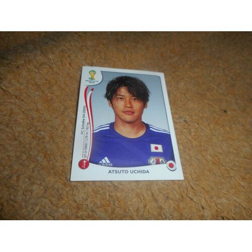 Sticker Panini / Fifa World Cup Brasil 2014 / Uchida / 246