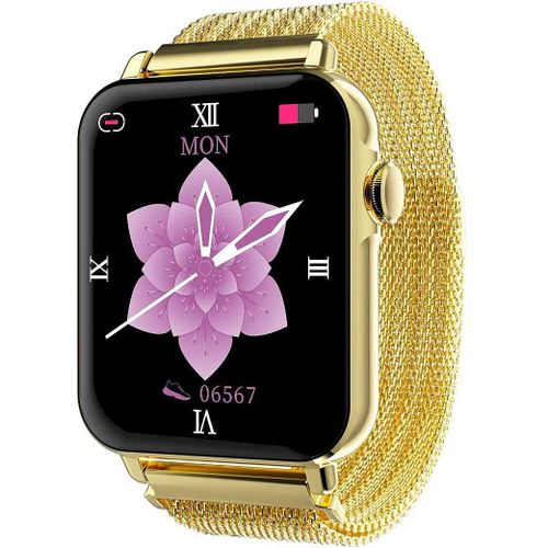 Montres Smartwatches Montre Smartwatch Unisex Smarty Classique Cod. Sw035g03 Smarty Sw035g03