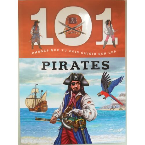 101 Choses Que Tu Dois Savoir Sur Les Pirates