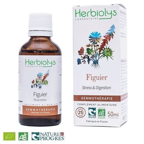 Figuier Macérât De Bourgeon Bio - Stress Et Digestion 50 Ml - Herbiolys 