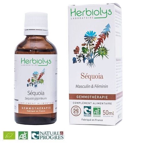 Séquoia Macérât De Jeune Pousse Bio - Homme Et Capital Osseux 50 Ml - Herbiolys 