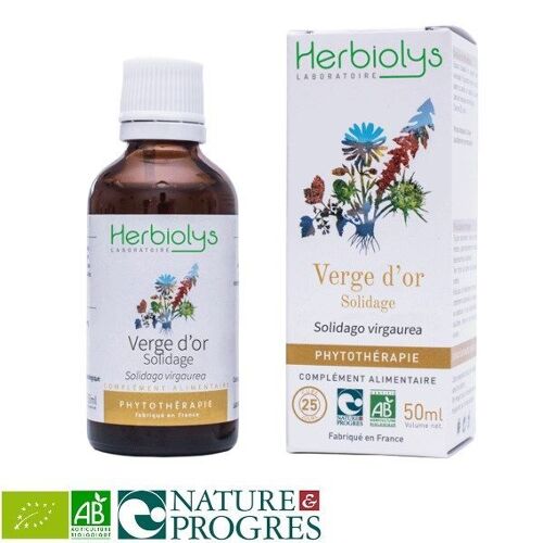 Solidage Verge D'or Bio - Système Urinaire Teinture-Mère Solidago Virgaurea 50 Ml - Herbiolys 