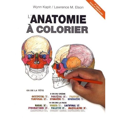 L'anatomie À Colorier