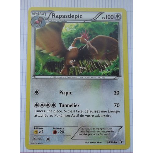 Rapasdepic 66/108
