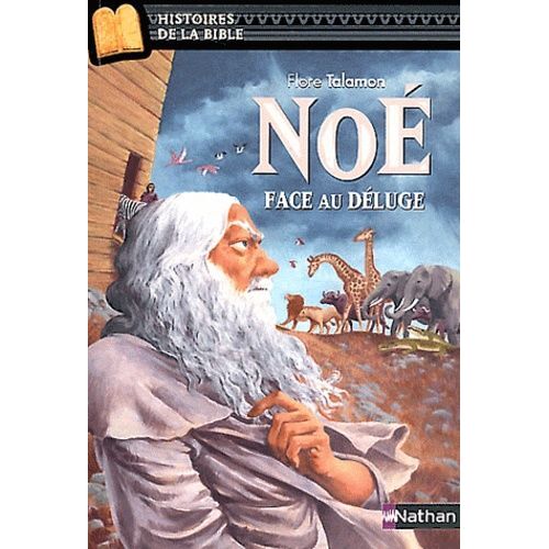 Noé Face Au Déluge