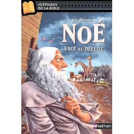 Noé Face Au Déluge