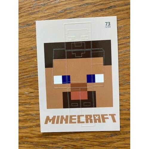 (192) Carte Minecraft N°73 Panini