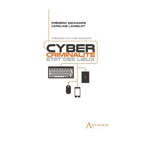Cybercriminalité : État Des Lieux