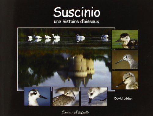 Intrigues Dans Les Marais- Suscinio Une Histoire D’Oiseaux
