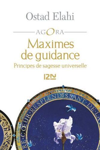 Maximes De Guidance