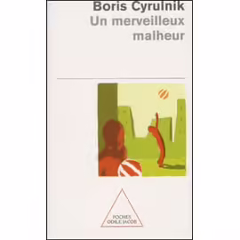 Un Merveilleux Malheur