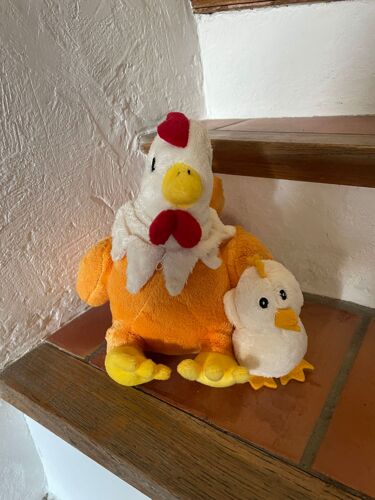 Lgri Poule Et Son Petit Peluche