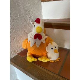 Lgri Poule Et Son Petit Peluche
