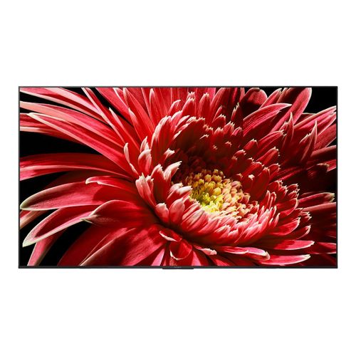 TV LED Sony Bravia KD-65XG8505 65" 4K UHD (2160p)