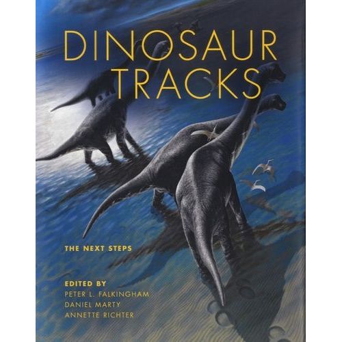 Dinosaur Tracks