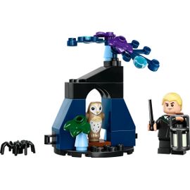 LEGO Harry Potter - Drago dans la Forêt interdite (Polybag) - 30677