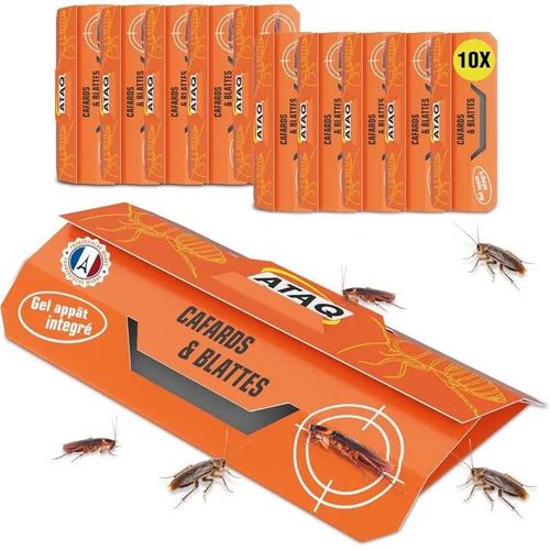 ATAQ ¿ Pack de 10 pièges à Cafards ¿ Piège Anti Cafards Adhésif avec Colle Haute Performance - Non Toxique