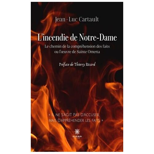 L'incendie De Notre-Dame