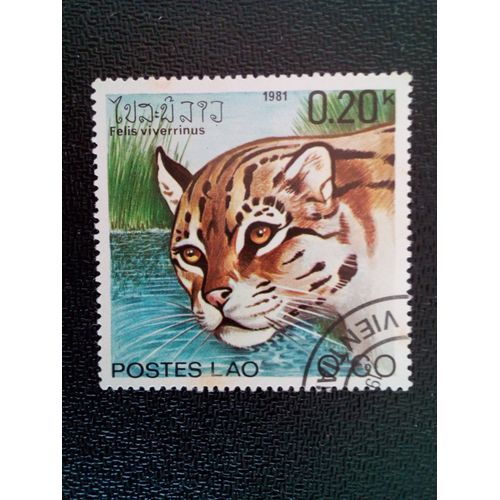 Timbre Laos Yt 371 Chat De Pêche (Felis Viverrinus) 1981 ( 1612 )