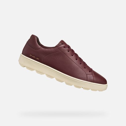 Chaussures Spherica Ecubs1 Man