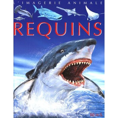 Les Requins